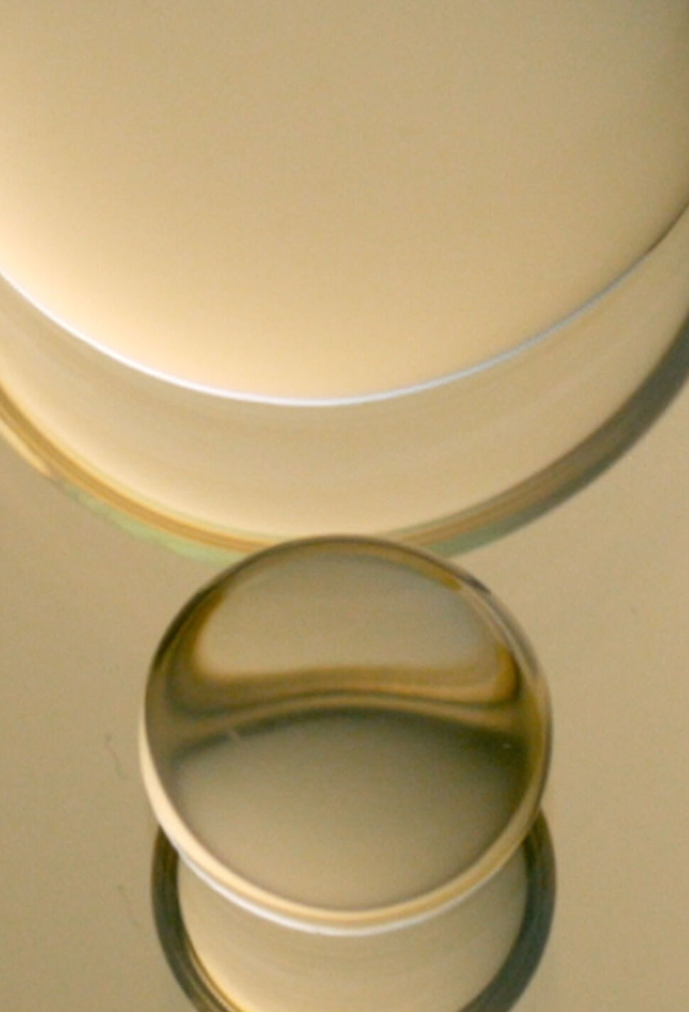 Advanced Metabiotic Technology | Blog | Fresh Beauty US