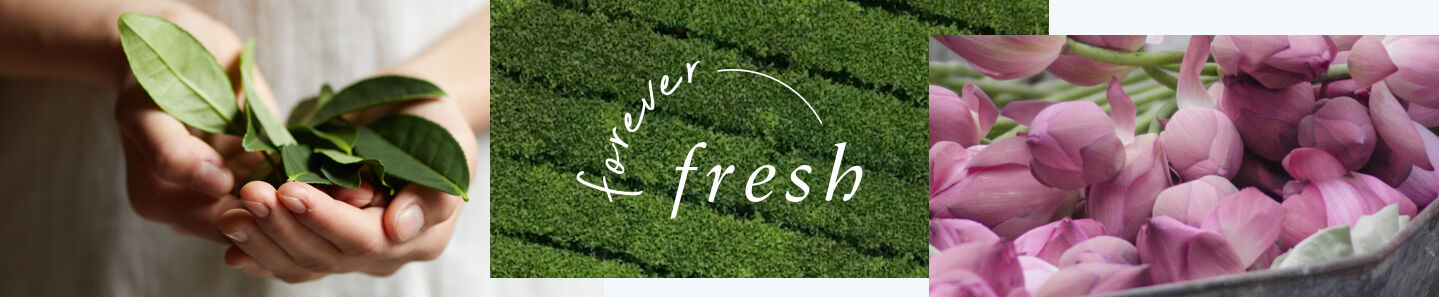 Forever Fresh