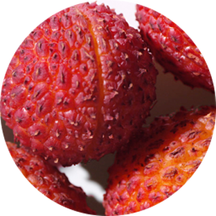 Lychee Seed Extract