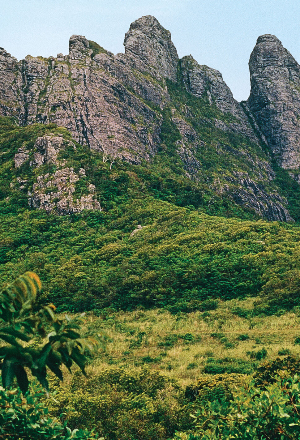 The Story of Mauritius