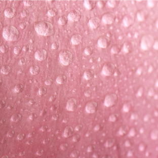 Rose ingredients - rose water