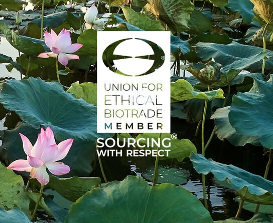 Union For Ethical Bio Trade Member. Sourcing with Respect Union For Ethical Bio Trade Member. Sourcing with Respect