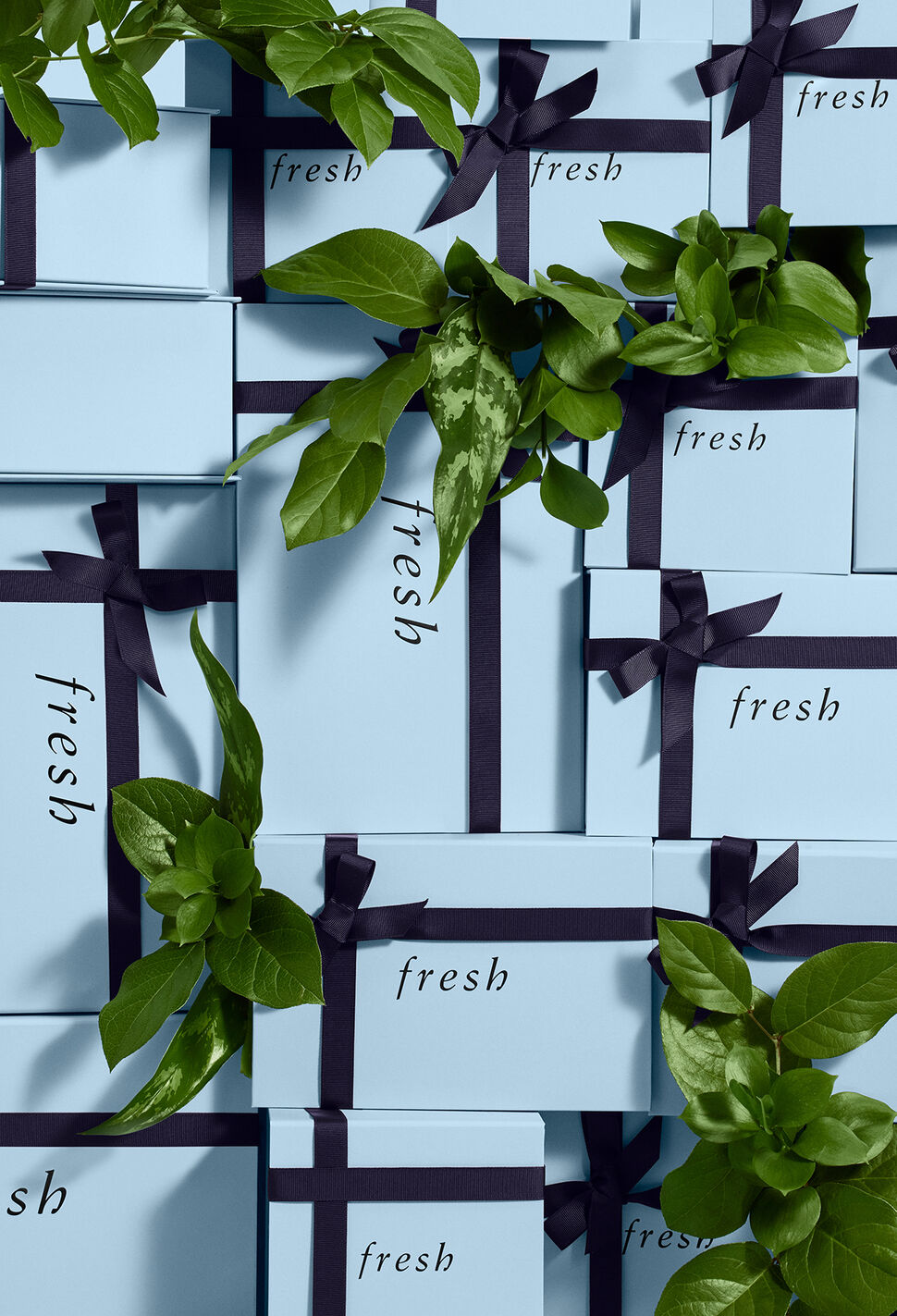 blue fresh gift box with navy ribbon and green leaves