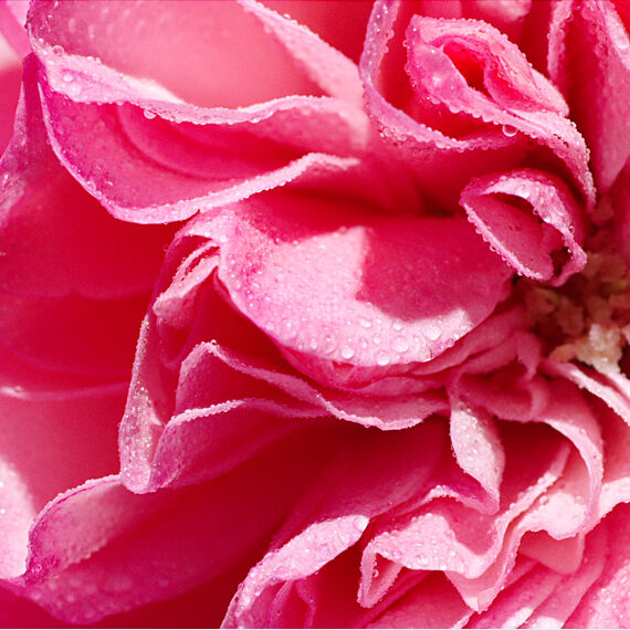 Marketing Image