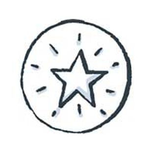 An illustration of a star within a circle