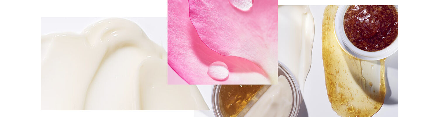 Rose Collection - header image