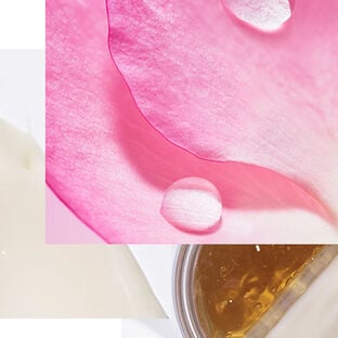 Rose Collection - header image