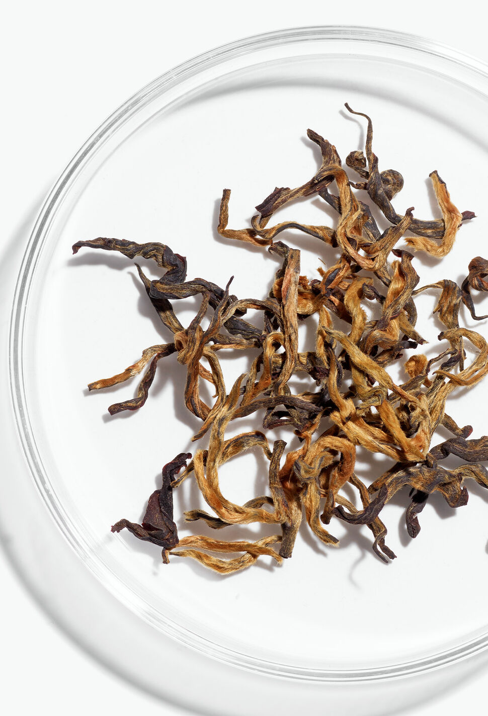 Dried black tea leaves in a petri dish against a white background