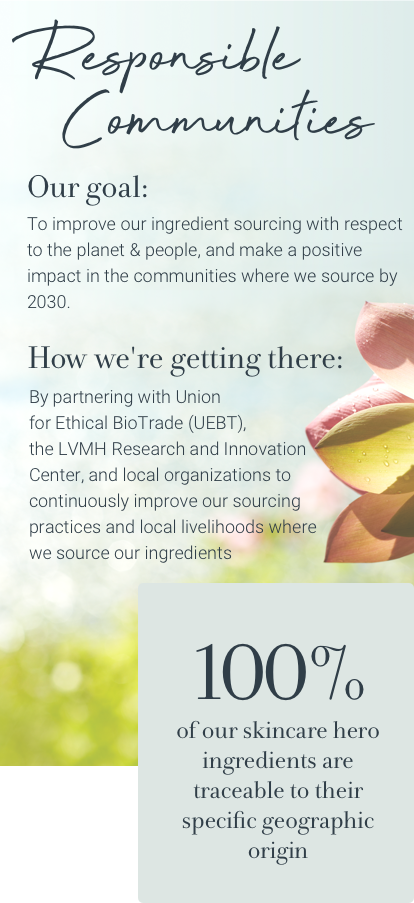 Our goal: To Improve our ingredient sourcing with respect to the planet and people, and make a positive impact in the communities where we source by 2030. How we're getting there: By partnering with Union for Ethical Bio Trade, the LVMH Research and Innovation Center, and local organizations to continuously improve our sourcing practices and local livelihoods where we source our ingredients. 100% of our skincare hero ingredients are traceable to their specific geographic origin.
