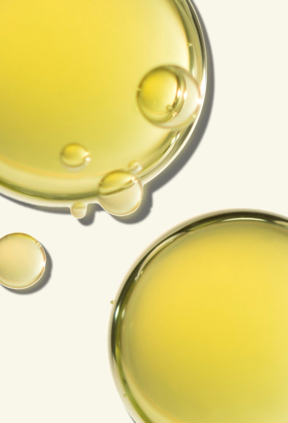 borage seed oil