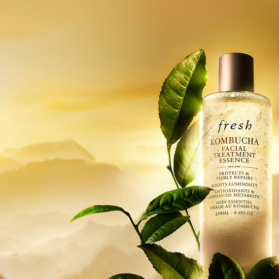 Essence visage antioxydante au kombucha | Fresh Beauty Canada