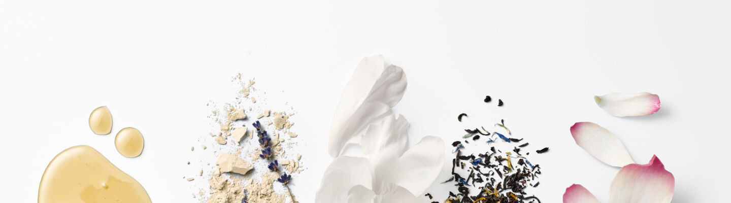 A Journey in Every Jar - image header