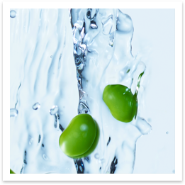 Soy Beans in Water