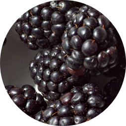 blackberry