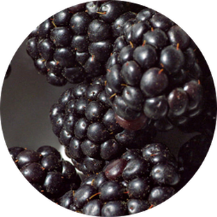 Blackberry Leaf Extract