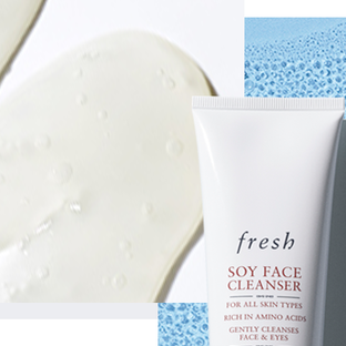Soy Collection header image