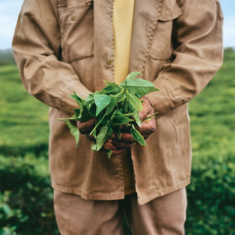 Caring for the Skin of the Earth