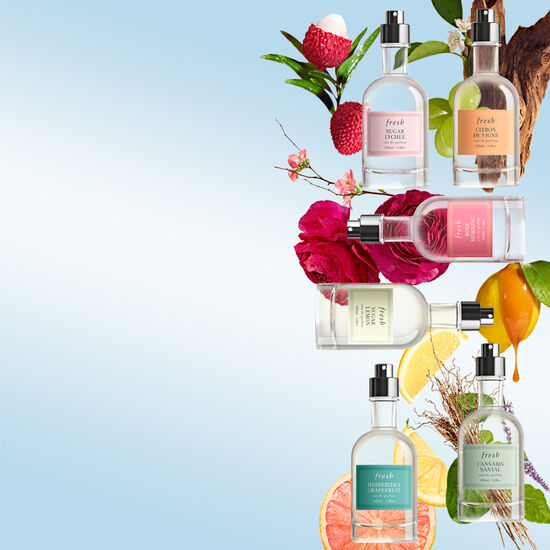 Saturate your senses