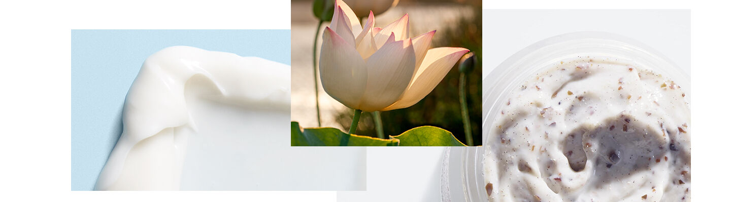 Lotus Collection - Hero Image