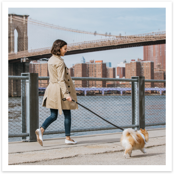 Marketing Image