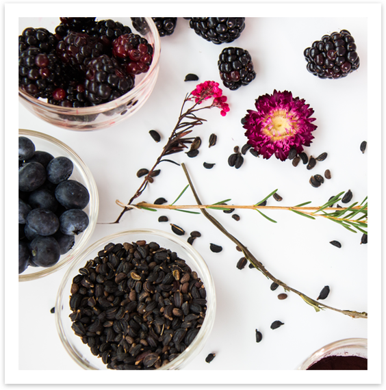 Marketing Image