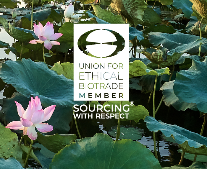 Union For Ethical Bio Trade Member. Sourcing with Respect Union For Ethical Bio Trade Member. Sourcing with Respect