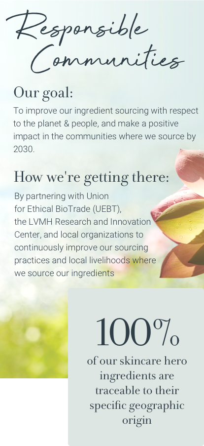Our goal: To Improve our ingredient sourcing with respect to the planet and people, and make a positive impact in the communities where we source by 2030. How we're getting there: By partnering with Union for Ethical Bio Trade, the LVMH Research and Innovation Center, and local organizations to continuously improve our sourcing practices and local livelihoods where we source our ingredients. 100% of our skincare hero ingredients are traceable to their specific geographic origin.