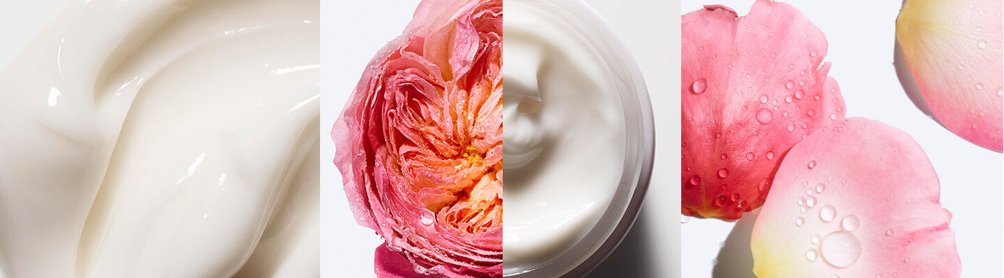 Rose Collection - header image