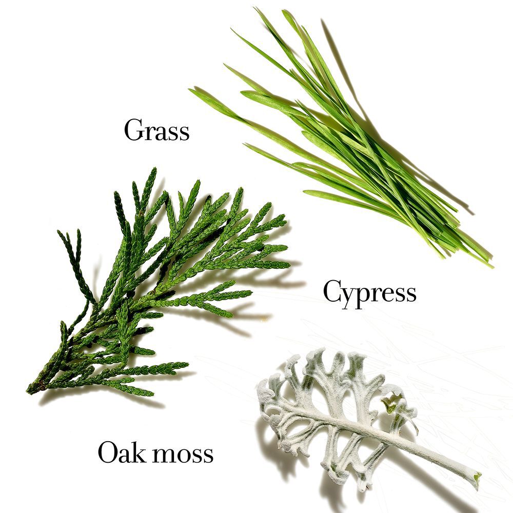 Fresh Life Eau de Parfum