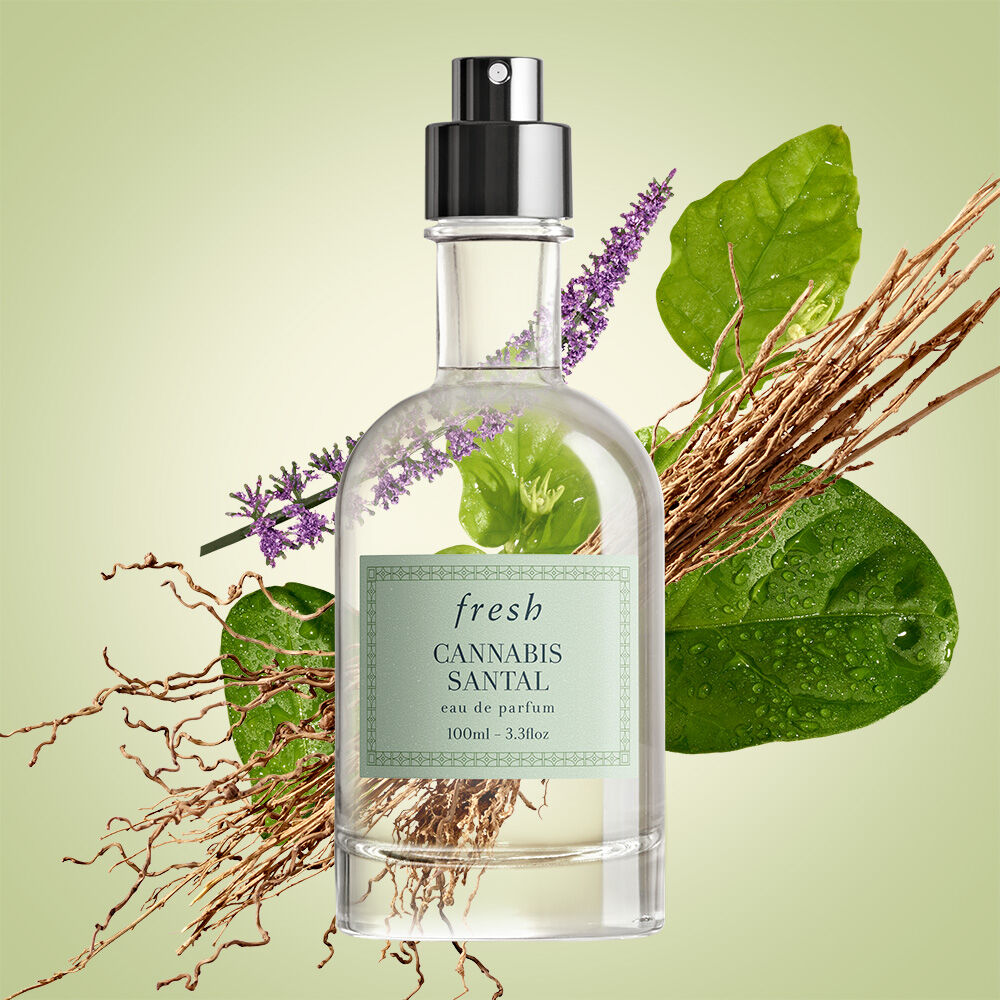 Santal perfume clearance