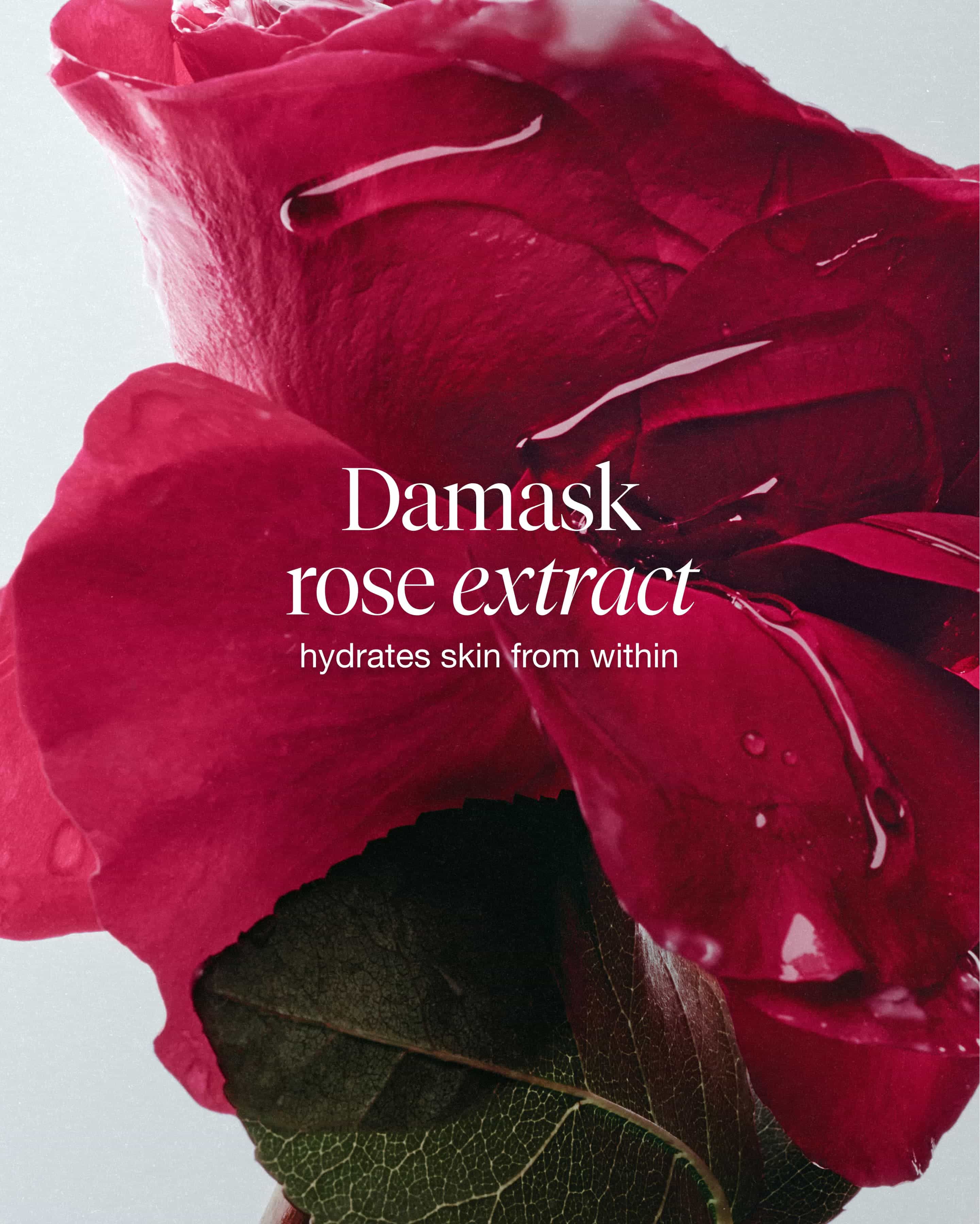 rose deep hydration balancing emulsion