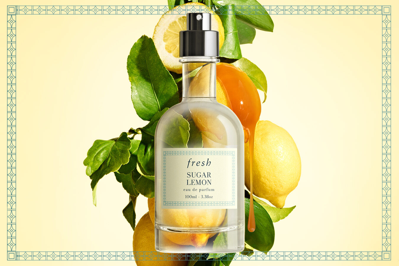 Fresh sugar eau de parfum best sale