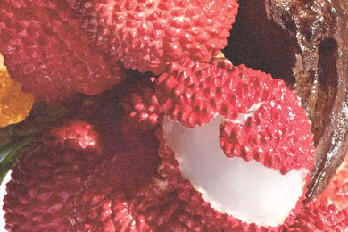 sugar lychee eau de parfum-Fragance-Image