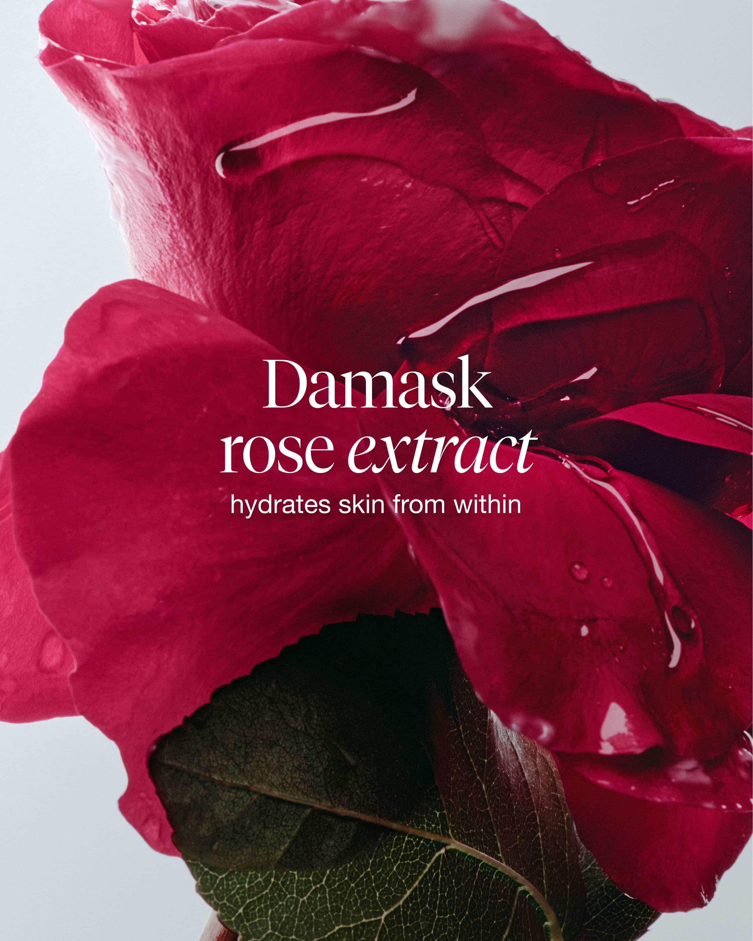 rose deep hydration oil-infused serum