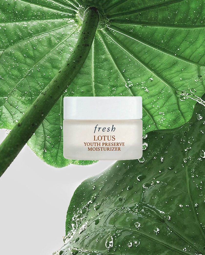 lotus youth preserve moisturizer
