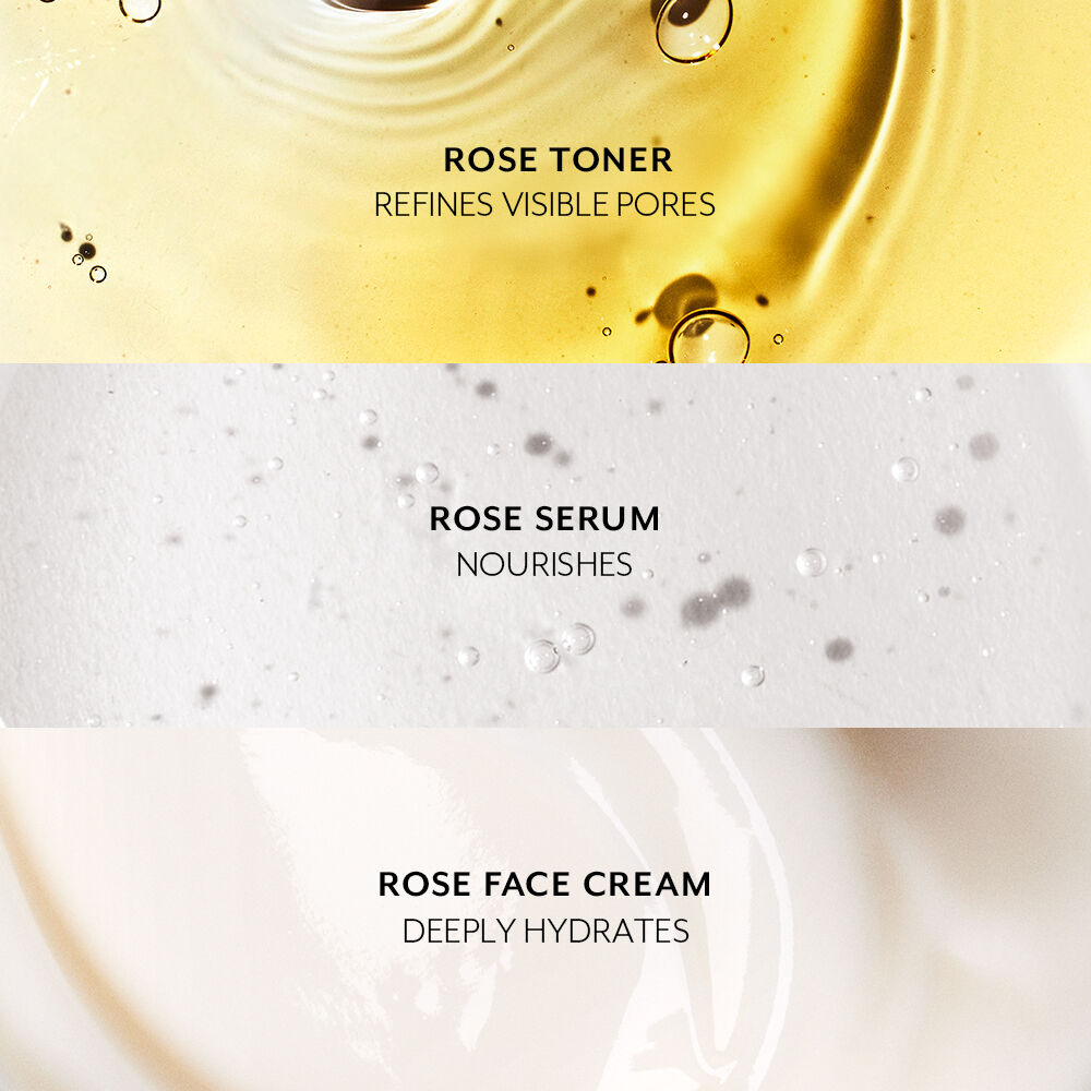 Dewy Discoveries Set