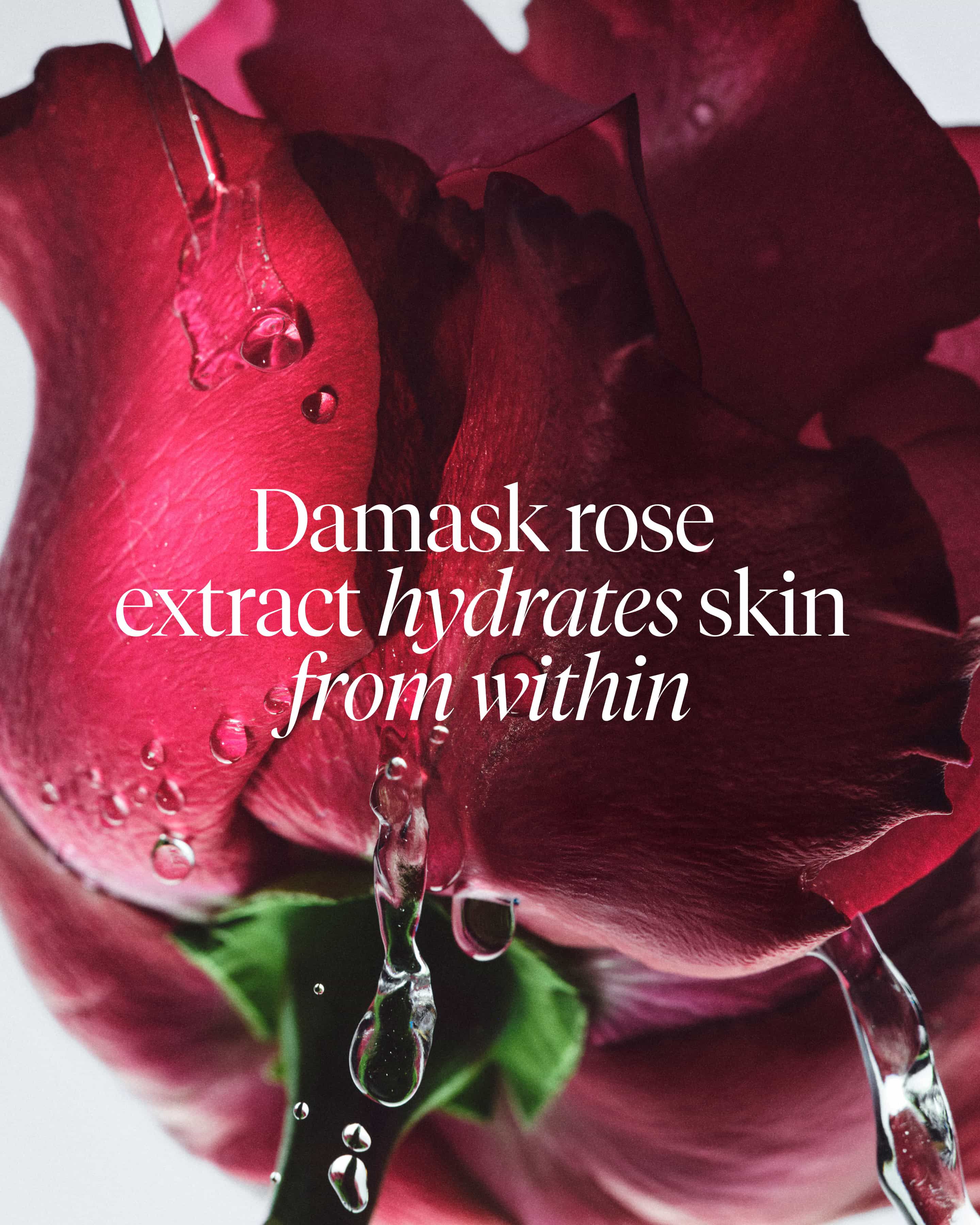 rose hydration ritual