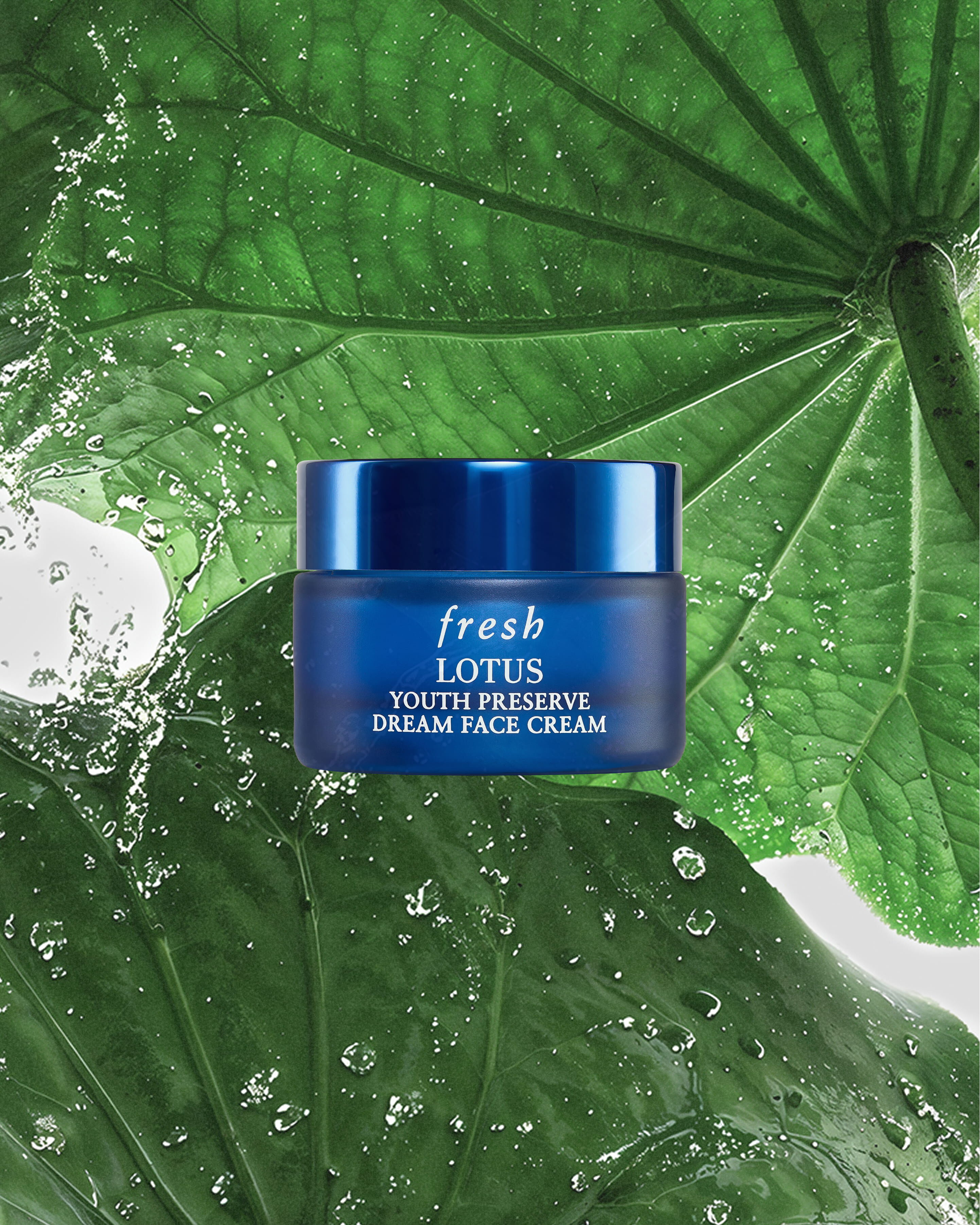 lotus youth preserve dream face cream