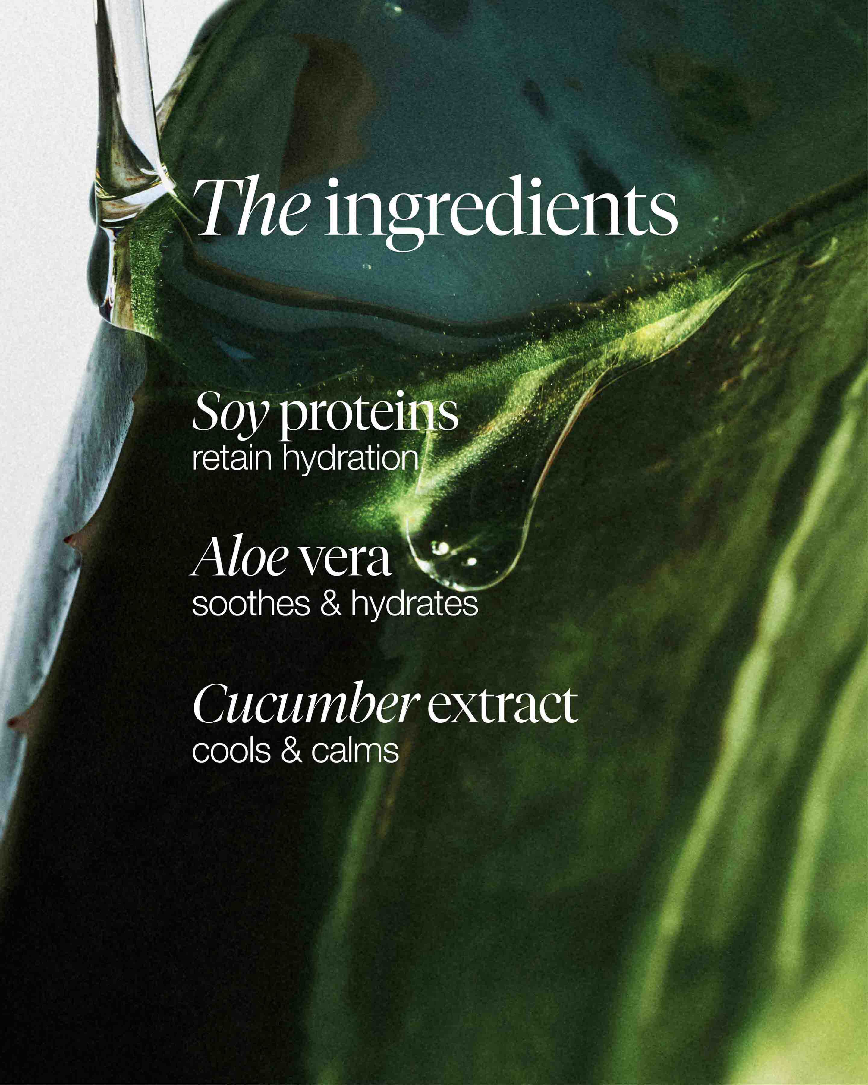 soy face cleanser
