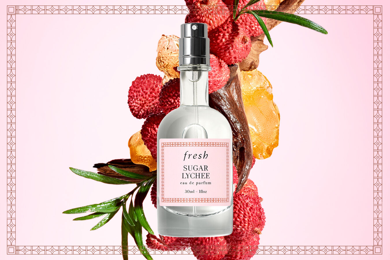 Fresh sugar perfume cheap