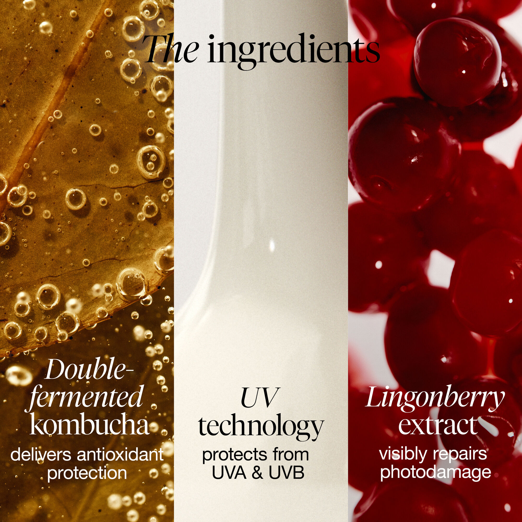 Kombucha Multi-Defense Sheer UV