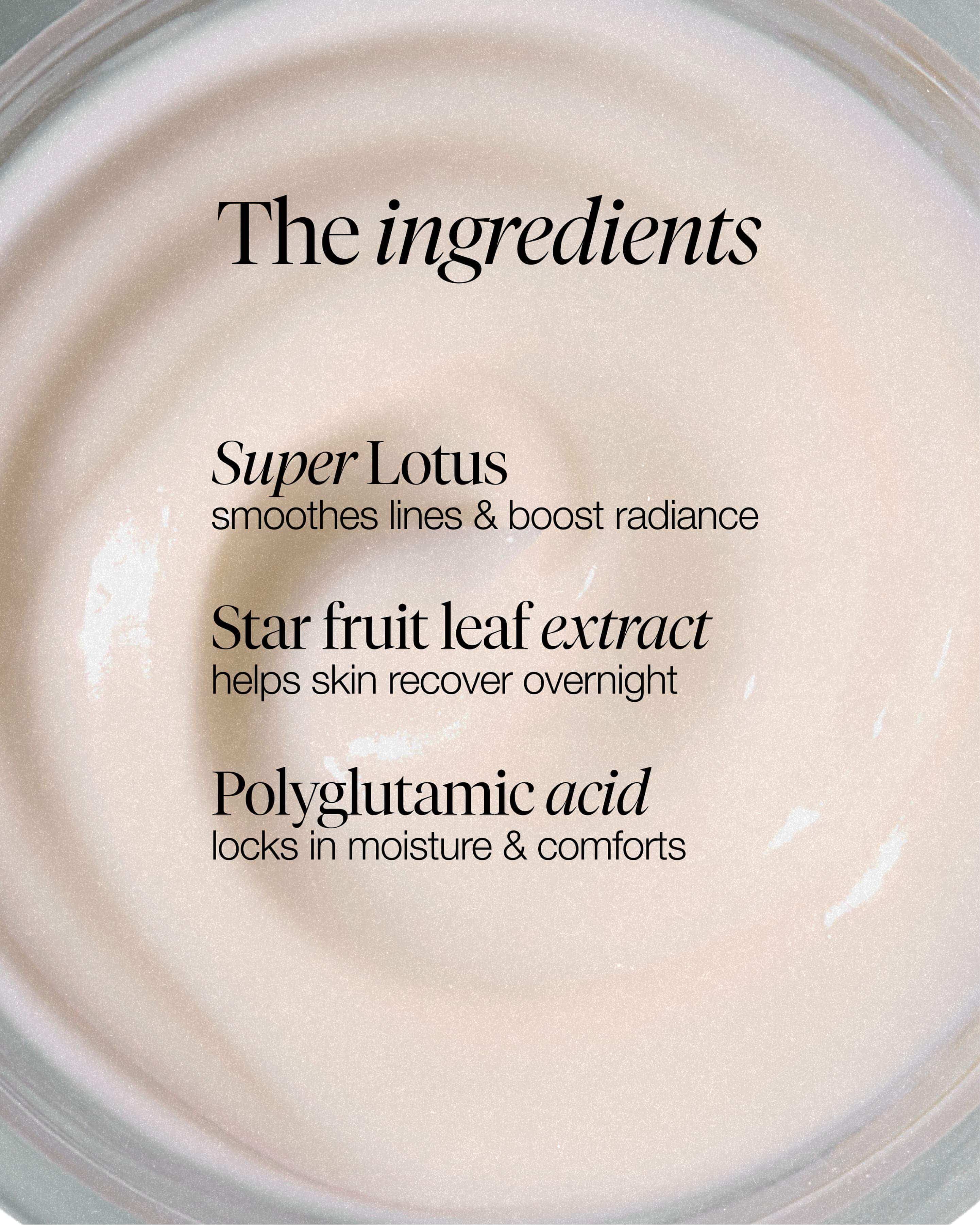 lotus youth preserve moisturizer