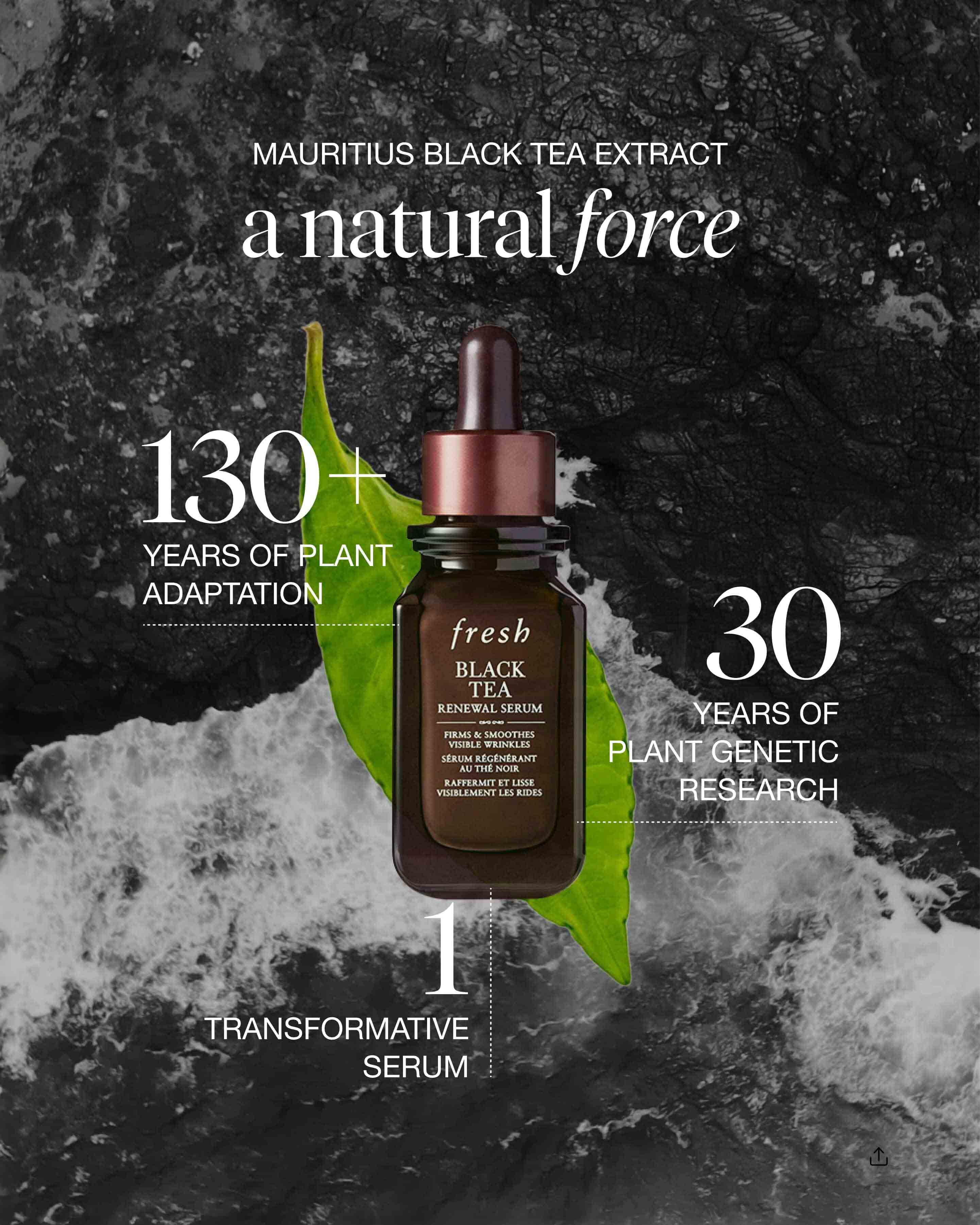 black tea renewal serum
