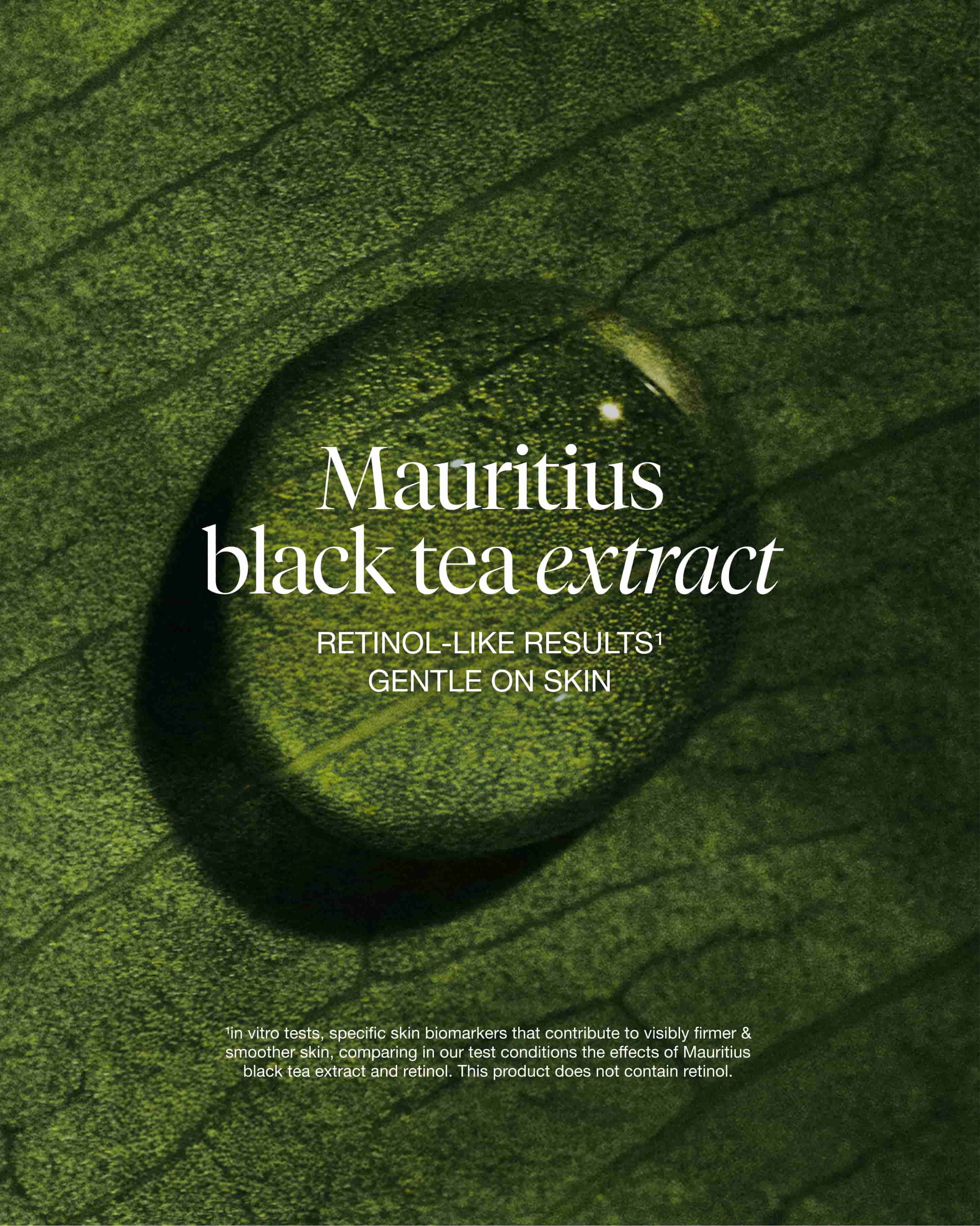 black tea bundle