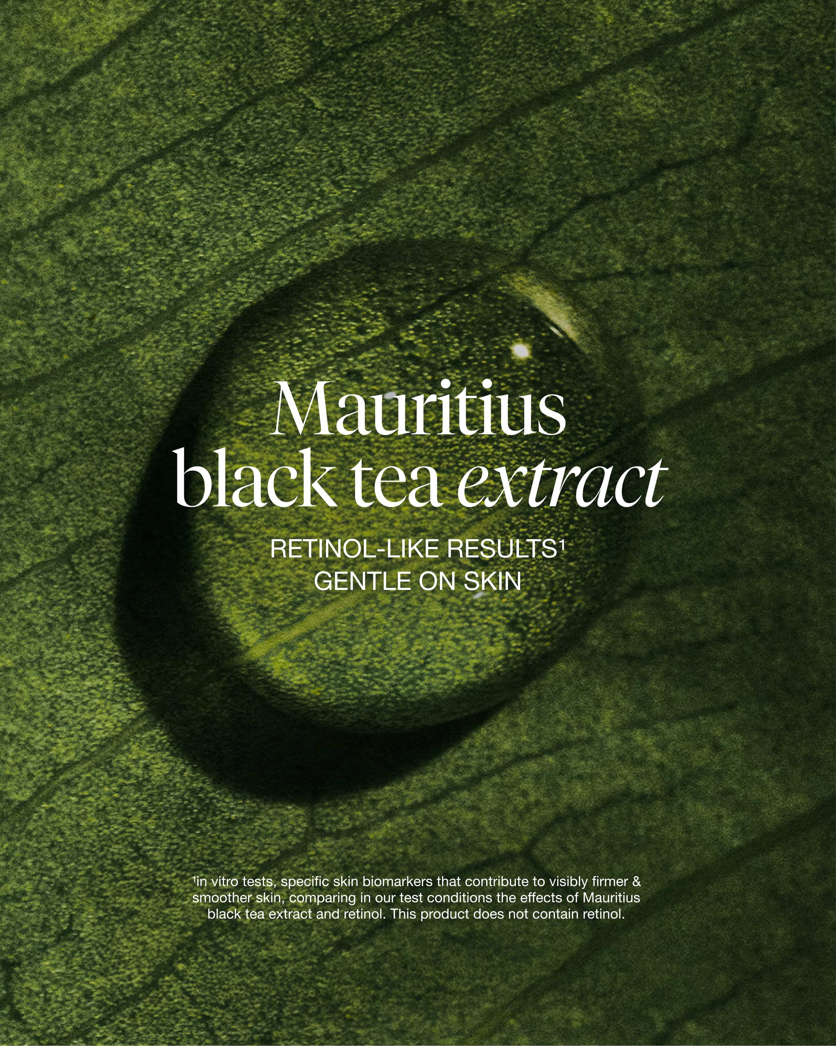 black tea advanced age renewal eye cream