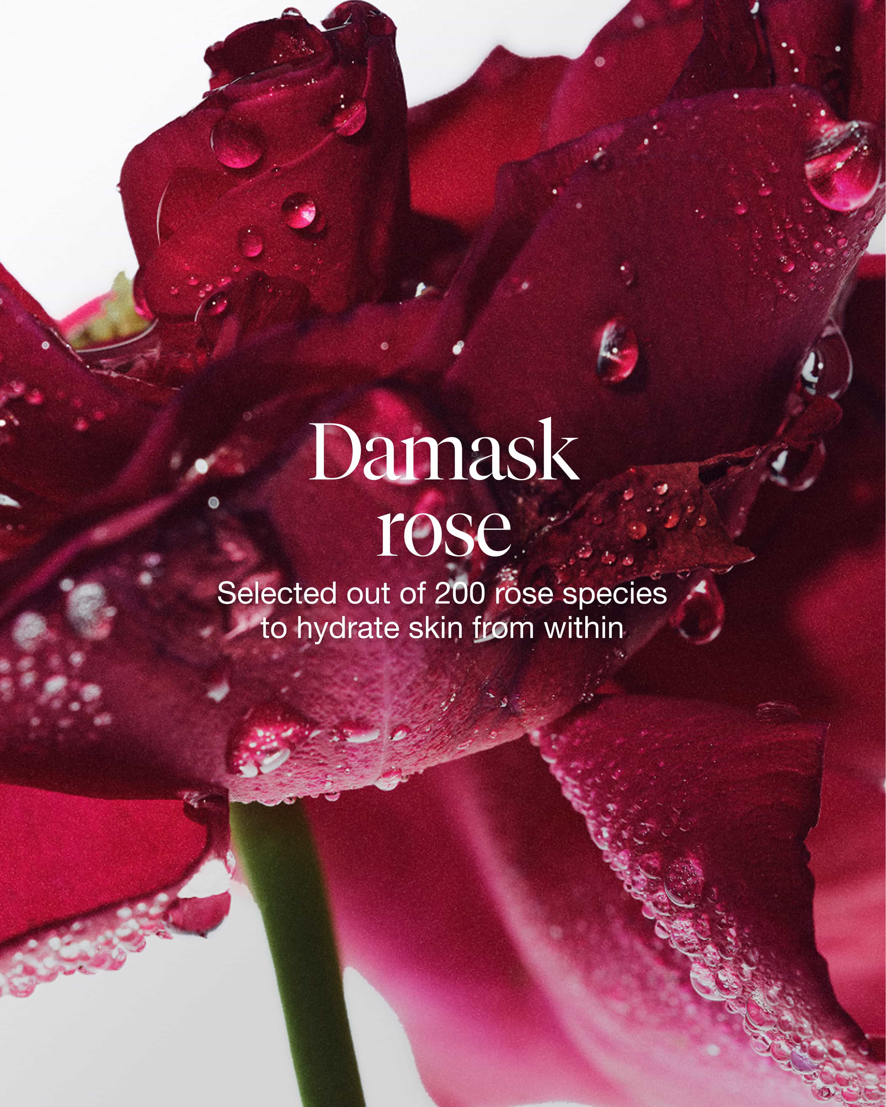 rose instant hydration mist