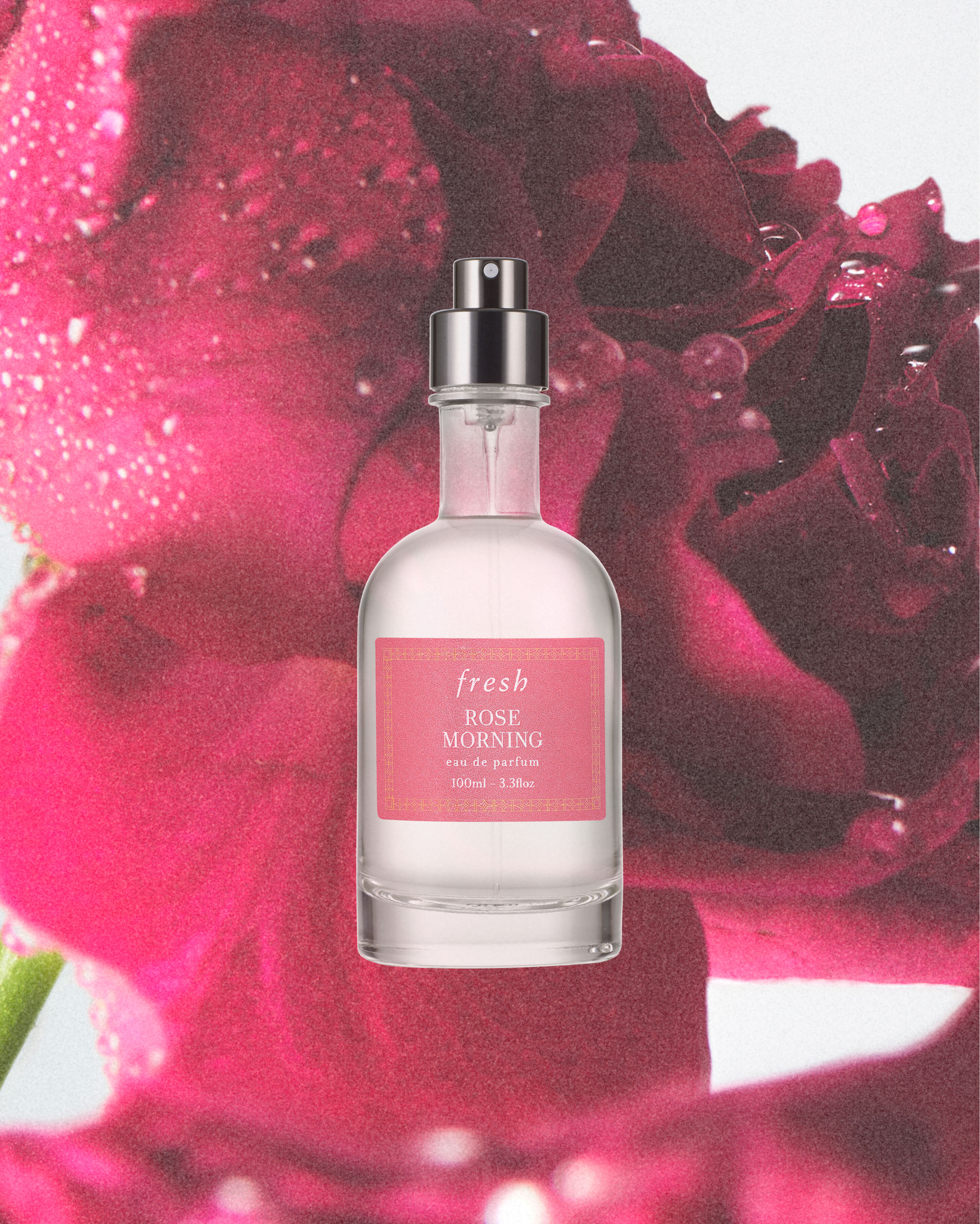 rose morning eau de parfum