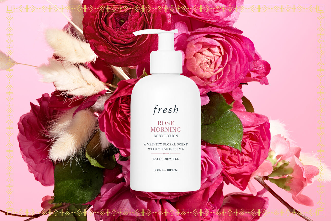 Fresh rose best sale morning