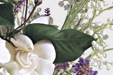 lily jasmine eau de parfum-Fragance-Image