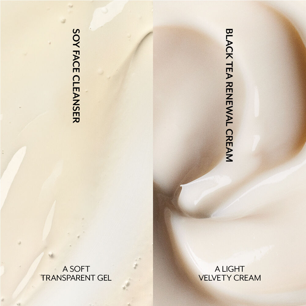 Firm Foundations Set